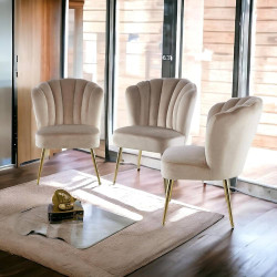 Beige Velvet Shell Back Chairs Beige Velvet Shell Back Chairs