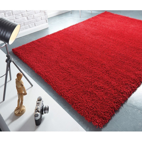 Modern Red Area Rug